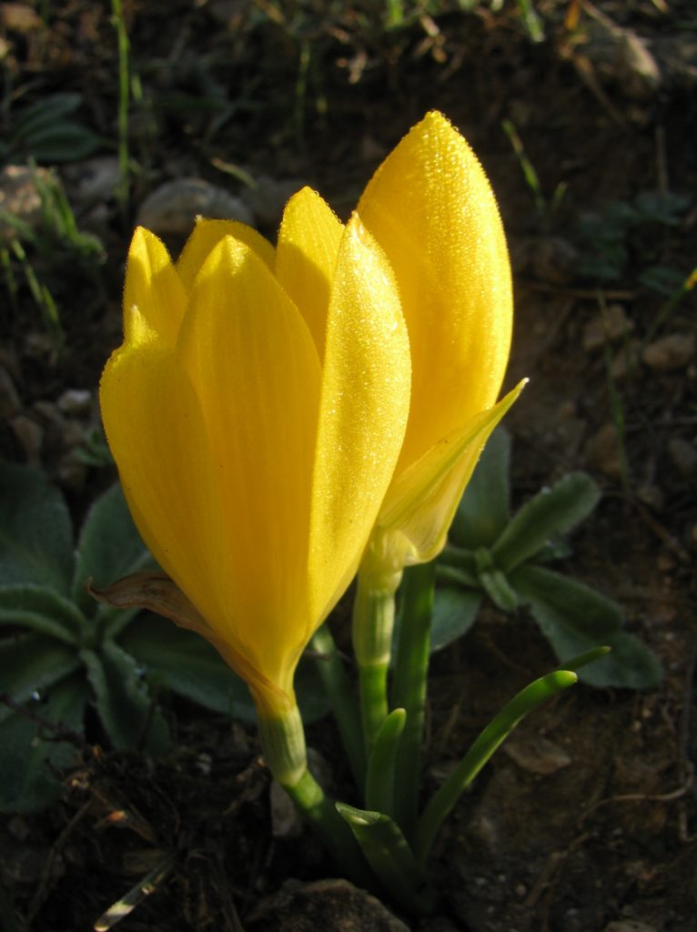 cosa vedere e fare a matera in primavera