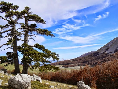 escursione sul pollino