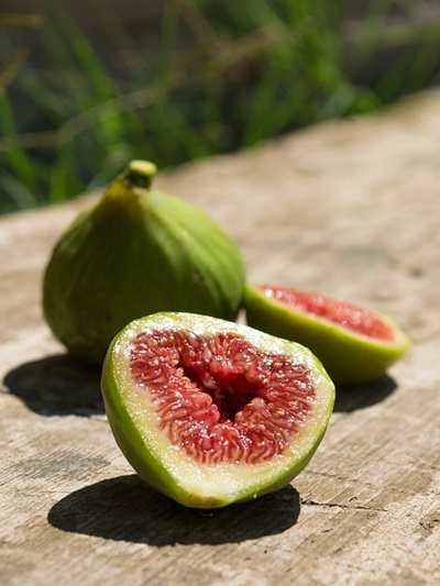 sagra fichi secchi miglionico 2018