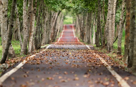 come arrivare a montescaglioso matera