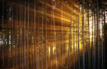 oasi san giuliano matera