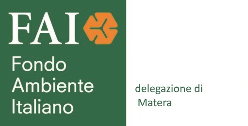 delegazione fai