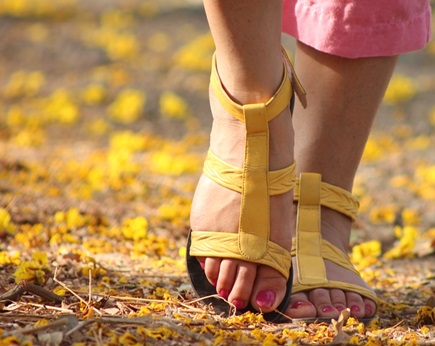 cosa vedere a Trani a piedi