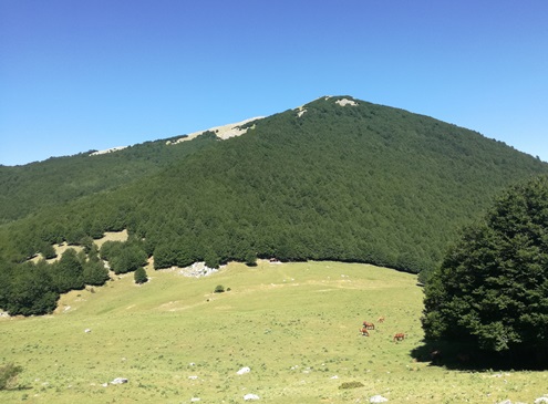 colle gaudolino praterie