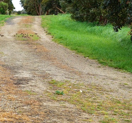 strada per la puglia