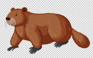 la lontra a calvello