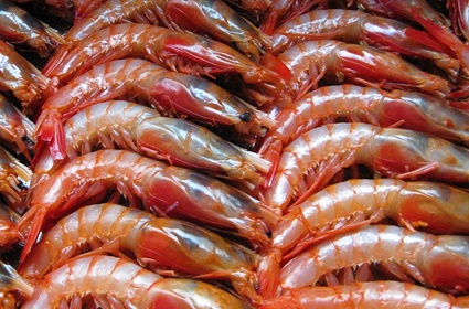 gamberoni per la zuppa di pesce del tirreno