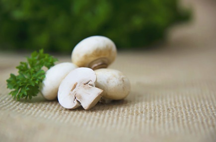 champignon