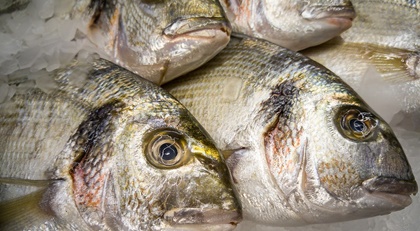 orate al cartoccio con champignon