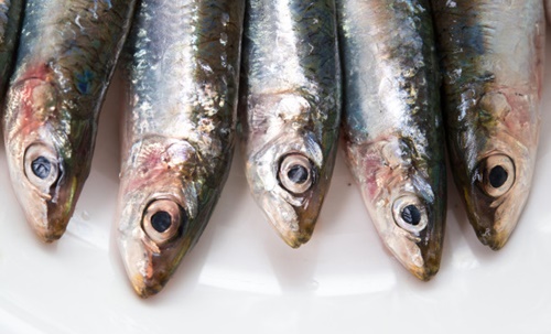 sarde arracanate di novasiri