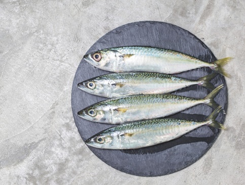 sgombri all'aceto di aglianico di Basilicata