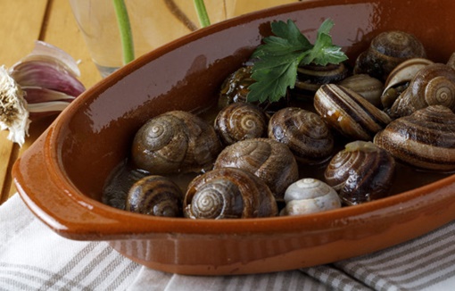 Lumache alla Lucana: piatto tipico e ricetta tradizionale ...