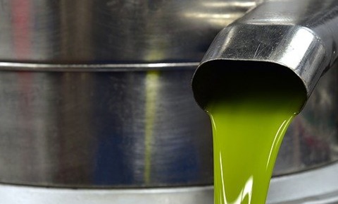 olio d'oliva per le pettole pugliesi