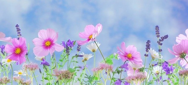 percorso trekking psicologico matera