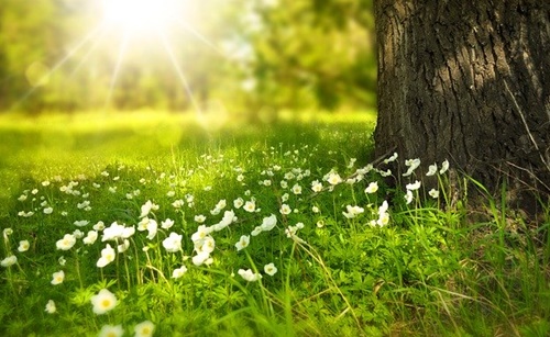 psico trekking strategico Matera 2020