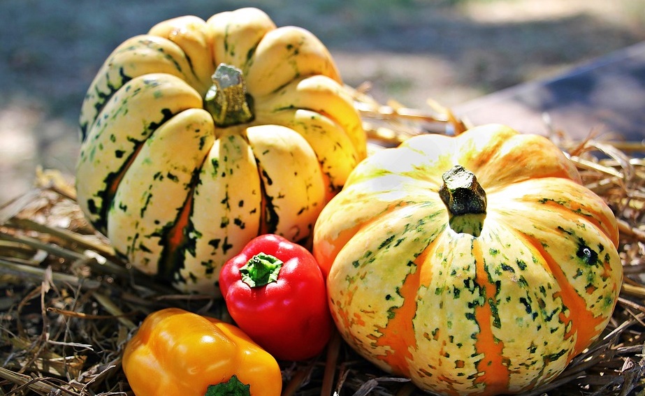 zucca peperoni e olive