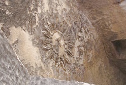 il sole scolpito sul soffitto