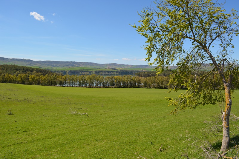 panoramica lago san giuliano matera
