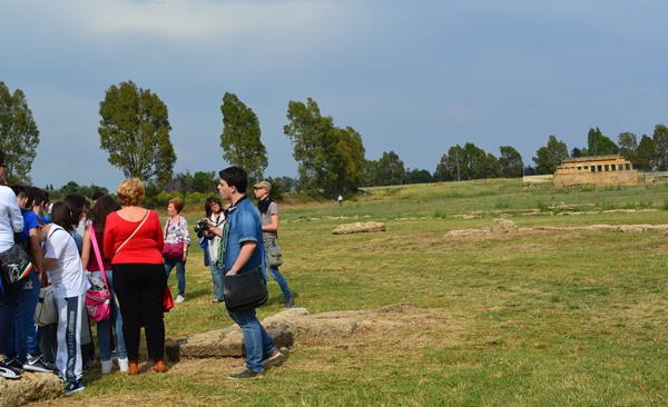 metaponto cosa c'è da vedere