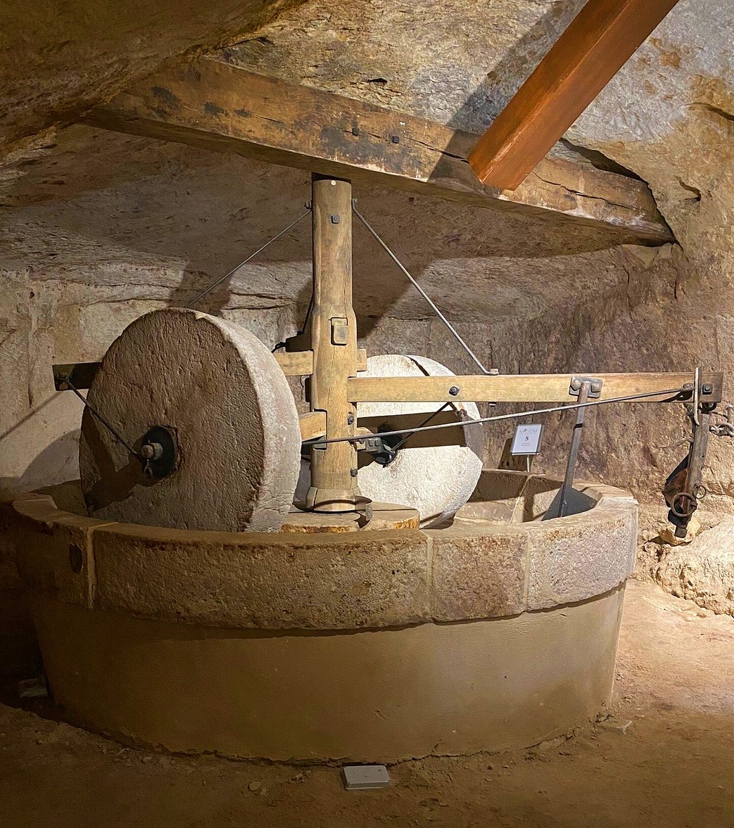 macine per olio d'oliva