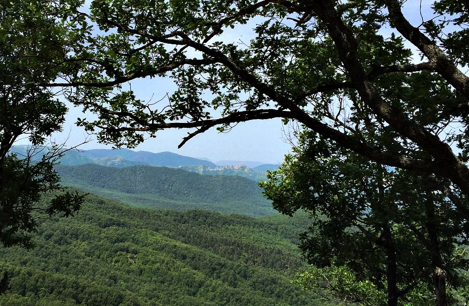 parco di gallipoli cognato