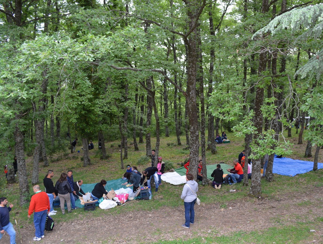 gente nel bosco di gallipoli cognato