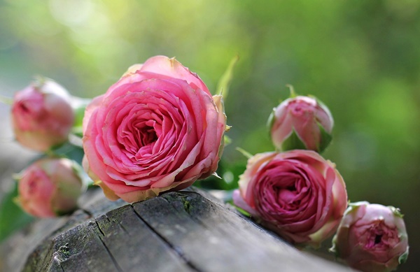 offerte san valentino a matera