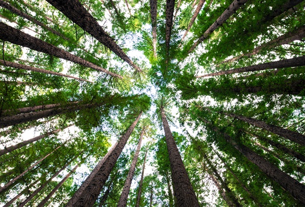 programma maggio di accettura 