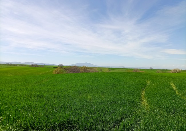 storia di montemilone