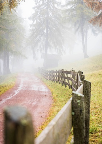 prenotazioni sagra della castagna calvello