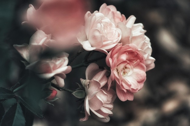 viaggio per coppia a matera