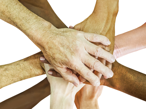 gruppo lavoro rizomatica