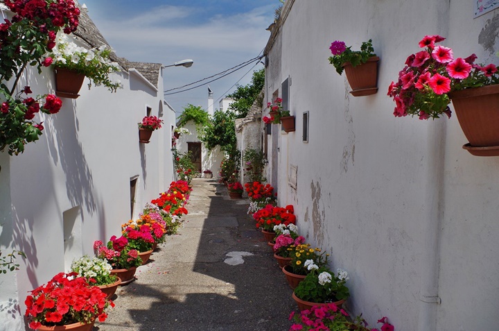 visita guidata alberobello
