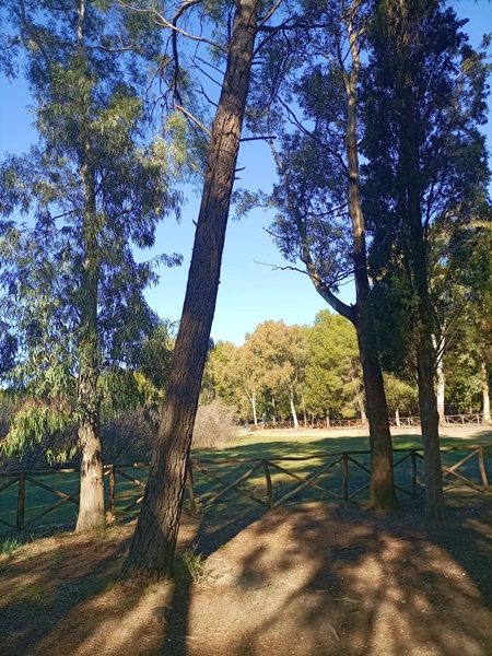 bosco oasi san giuliano